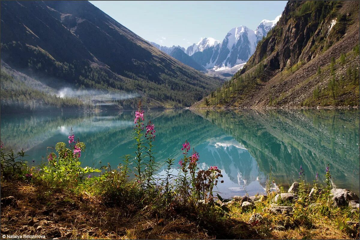 Природа горного алтая фото самые красивые места Горный Алтай из Тюмени: АВТОБУС Natural landmarks, Landscape, Nature