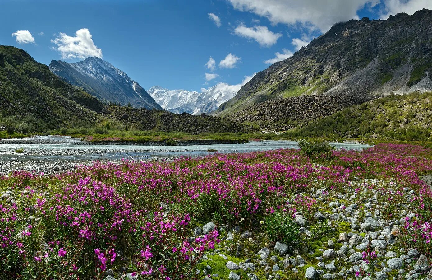 Природа горного алтая фото самые красивые места Фото с тегом "уч-сумер" - Russian Traveler