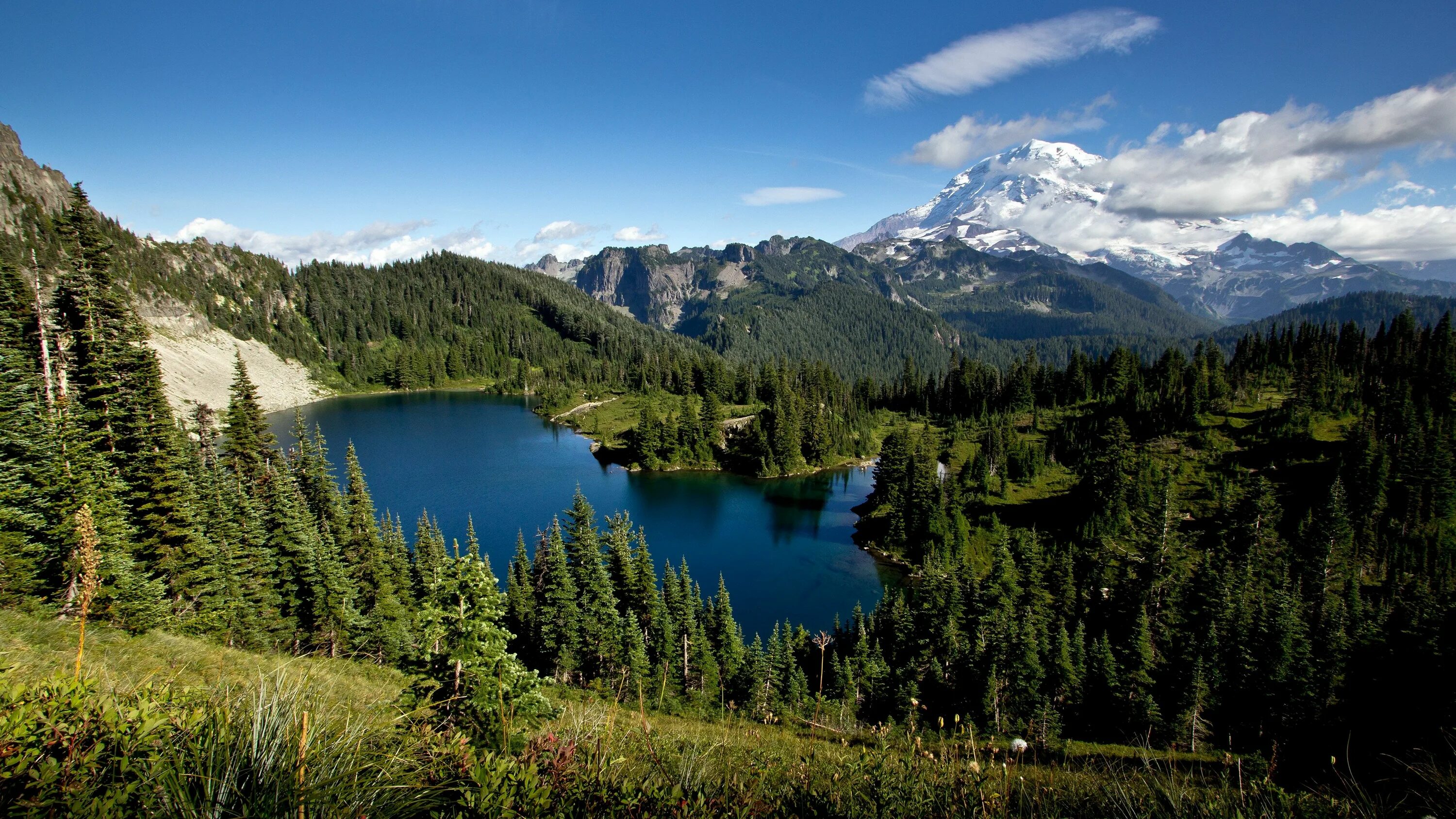 Природа горы лес фото mountain lake hd Mount rainier national park, Rainier national park, Mountain ba