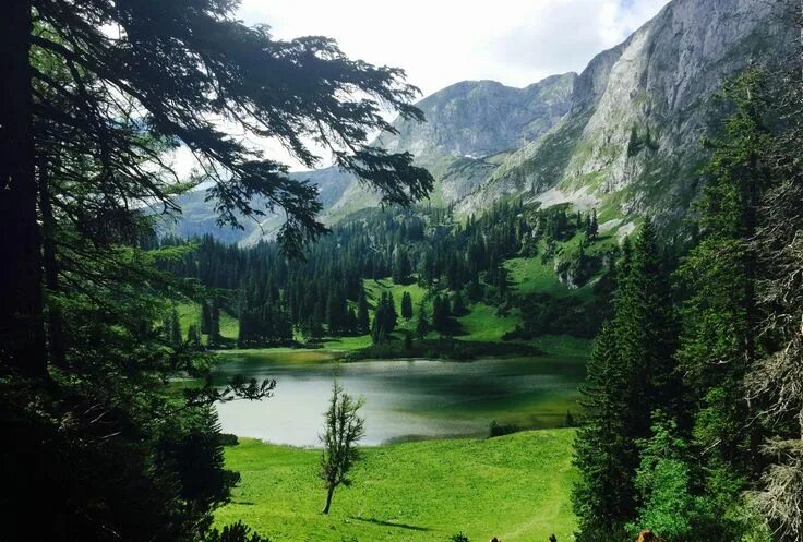 Природа горы лес фото Lake Sackwiesen, Austria Landscape wallpaper, Styria, Beautiful mountains