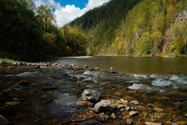 Природа хабаровского края фото Таёжная река - ЯПлакалъ