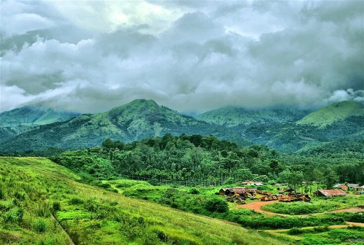 Природа индии фото The other South India: getting lost in steamy northern Kerala - Lonely Planet We