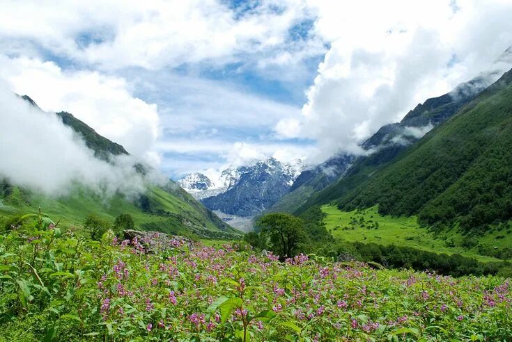 Природа индии фото Treks Valley of flowers, Cool places to visit, Beautiful places to visit