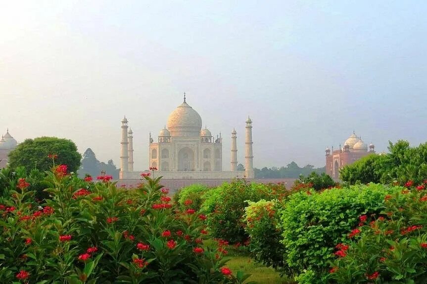 Природа индии фото Taj Trips, Нью-Дели: лучшие советы перед посещением - Tripadvisor