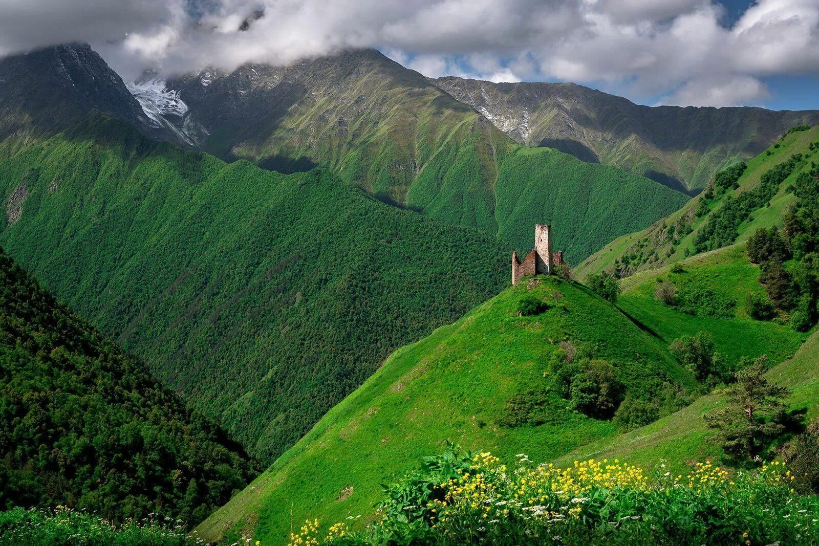 Природа ингушетии фото Фотовыставка "День восстановления государственности чеченского народа" 2023, Вед