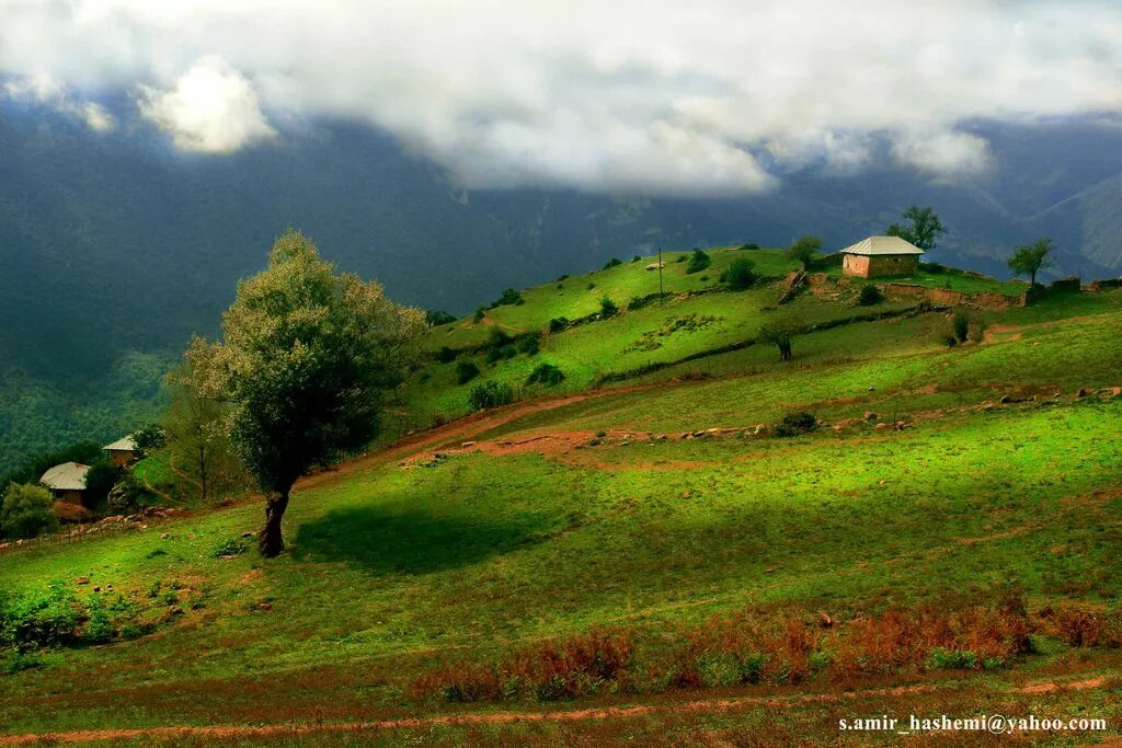 Природа ирана фото Bildresultat för nature in iran pictures Iran travel, Iran pictures, Iran