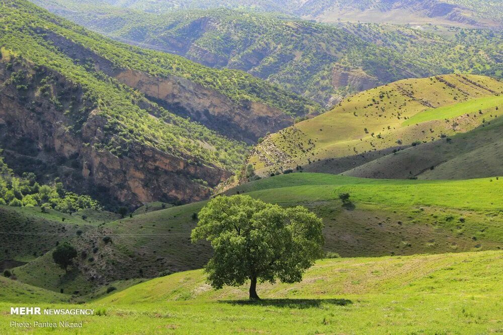 Природа ирана фото Iran’s Nature in Photos: Ardal & Mashayekh Region Nature, Beautiful nature, Scen