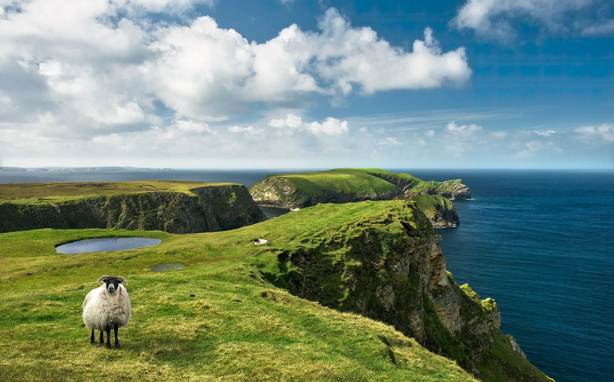 Природа ирландии фото Photomurals Digital print photomural "Green Ireland" by Komar