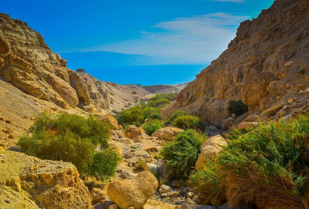 Природа израиля фото View of Dead Sea from Ein Gedi Nature Reserve Israel Flickr