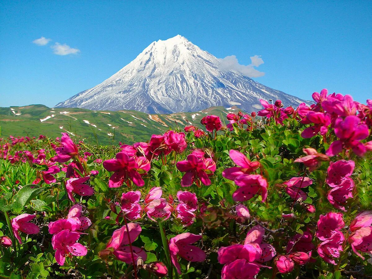 Природа камчатки фото самые красивые 15 incredible PHOTOS of Kamchatka - Russia Beyond