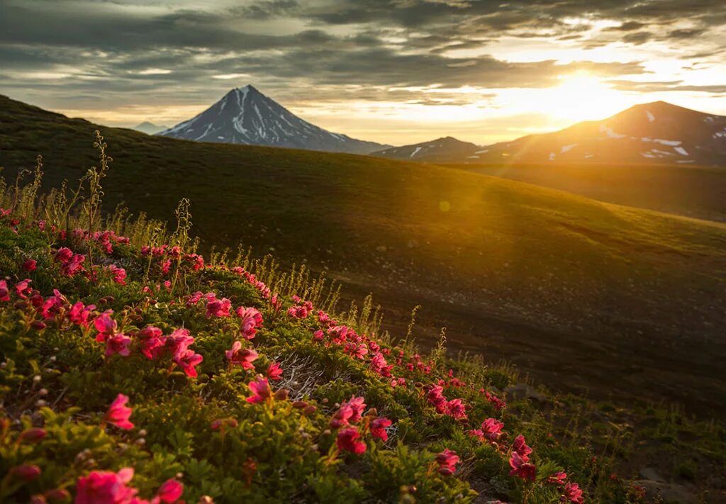 Природа камчатки фото самые красивые Лучшее на Камчатке: вулканы, медведи, косатки, вертолётная экскурсия - отдых - Y