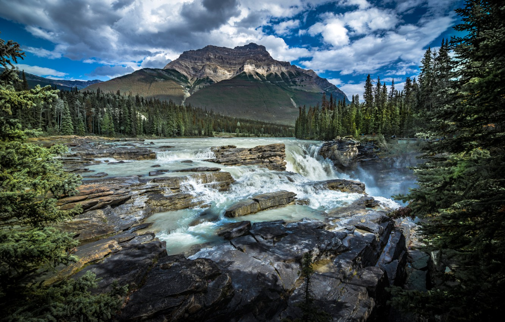 Природа канады фото Обои лес, горы, река, водопад, Канада, Альберта, Alberta, Canada, пороги, Jasper