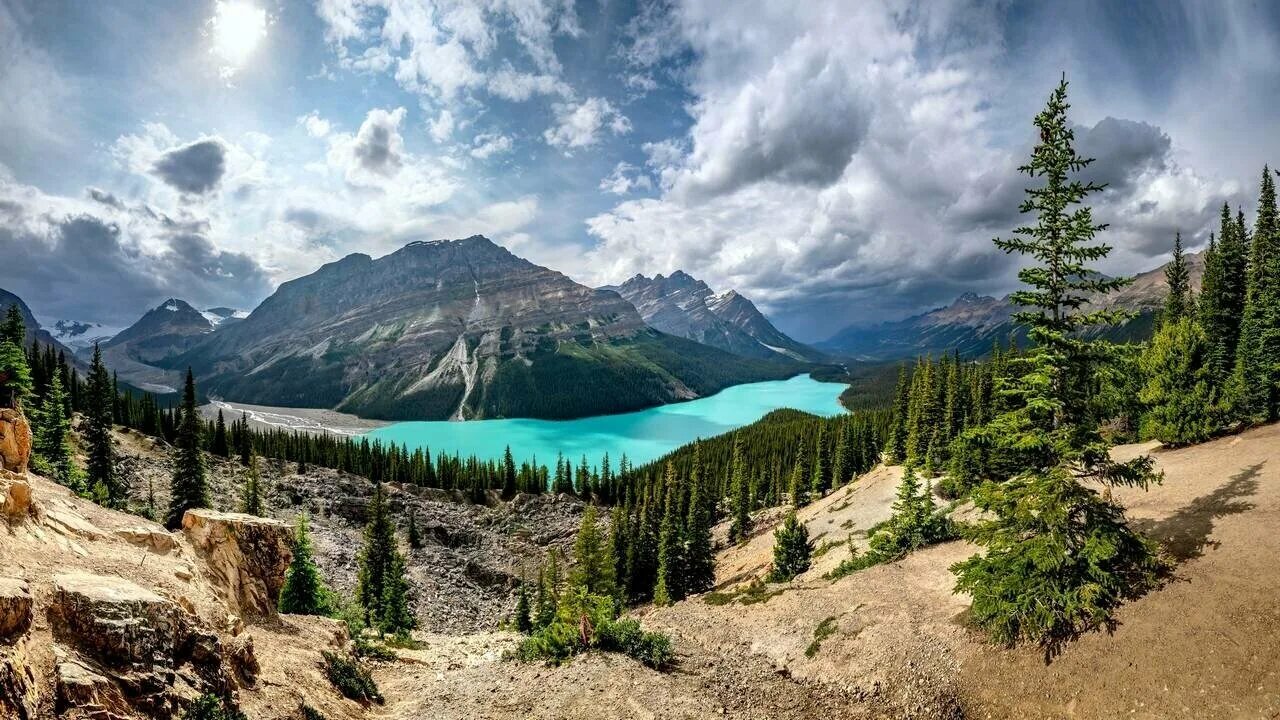 Природа канады фото Картина на холсте 60x110 LinxOne "Панорама Banff National Park" интерьерная для 