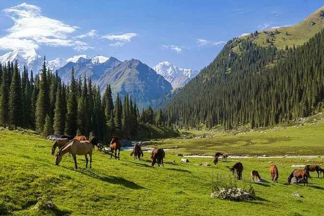 Природа казахстана фото и картинки Kyrgyzstan Путешествие в азию, Живописные пейзажи, Пейзажи