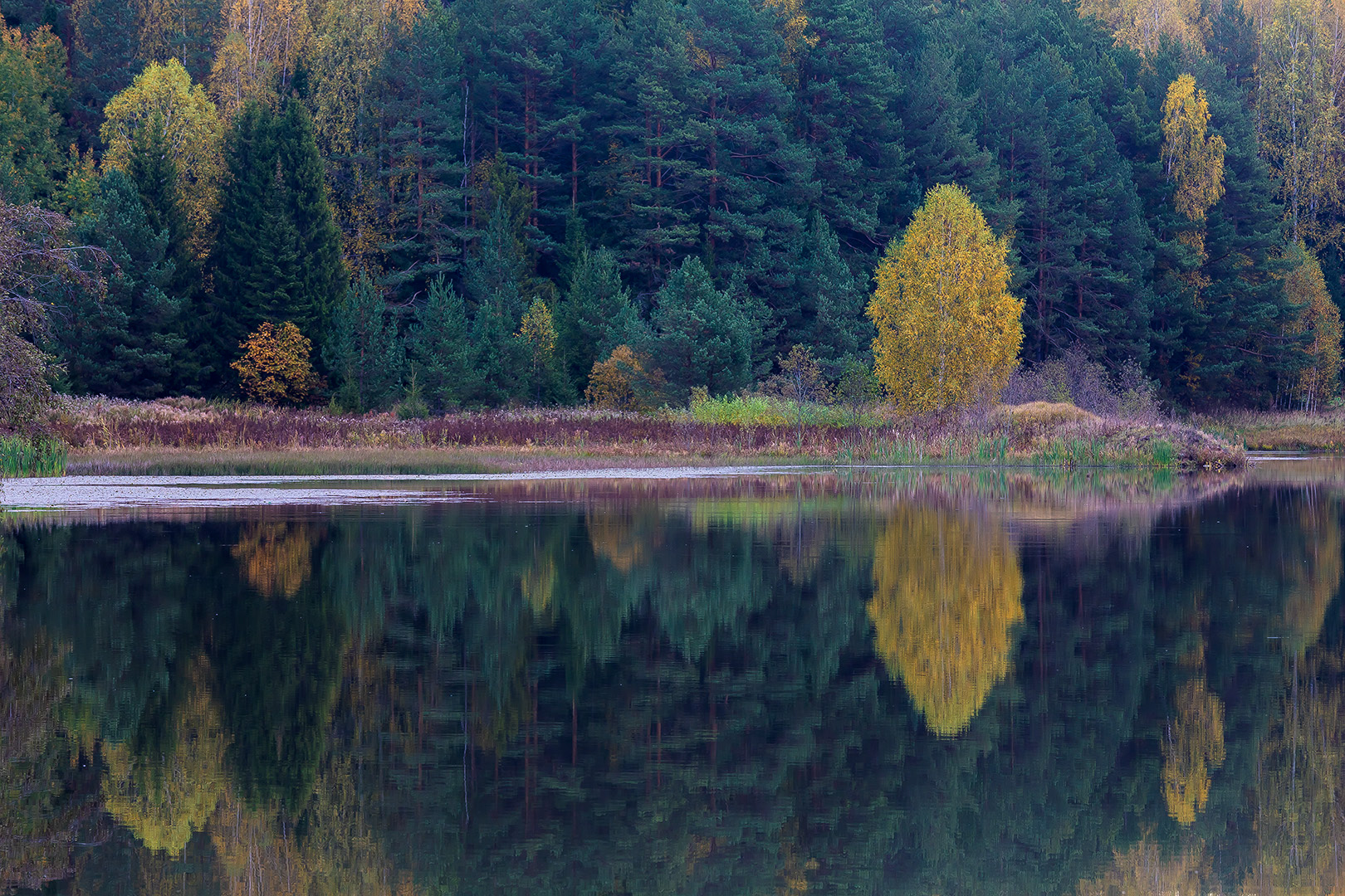 Природа кировской области фото autumnal kaliedoscope :: Behance