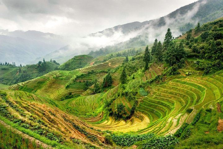 Природа китая фото This is awesome. (Apparently it used to be a rice farm in China.) Landscape phot