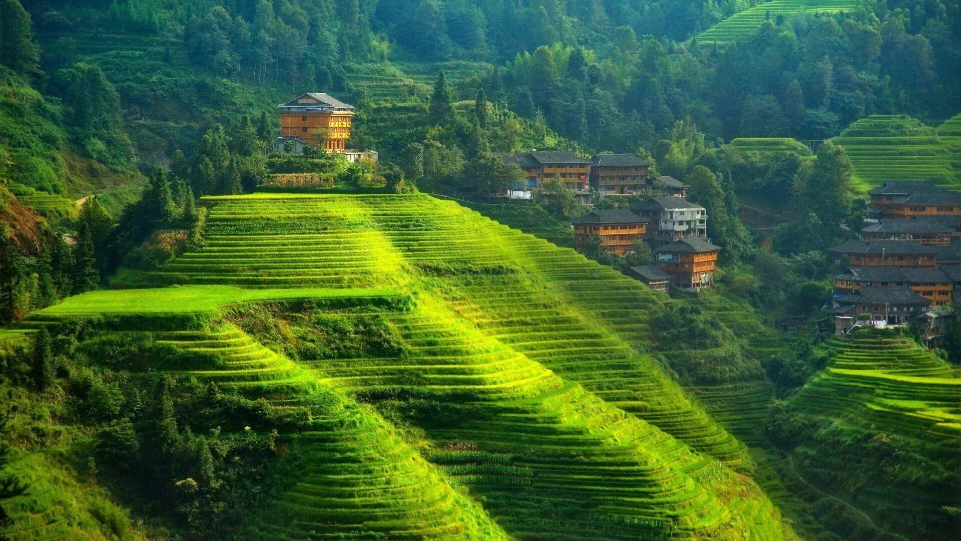 Природа китая фото самые House of the thousand steps Valley view, Scenery, Green valley