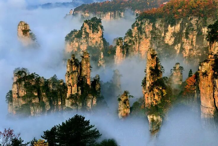 Природа китая фото самые красивые места zhangjiajie, china Tianzi mountains, Beautiful places, Beautiful places in the w