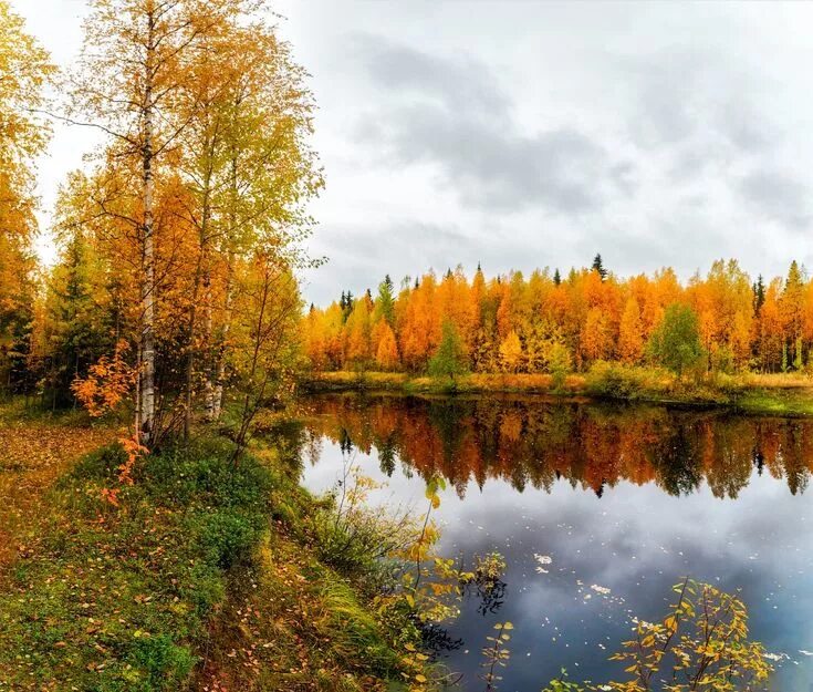 Природа коми фото Осень севера в 2023 г Пейзажи, Живописные пейзажи, Идеи озеленения