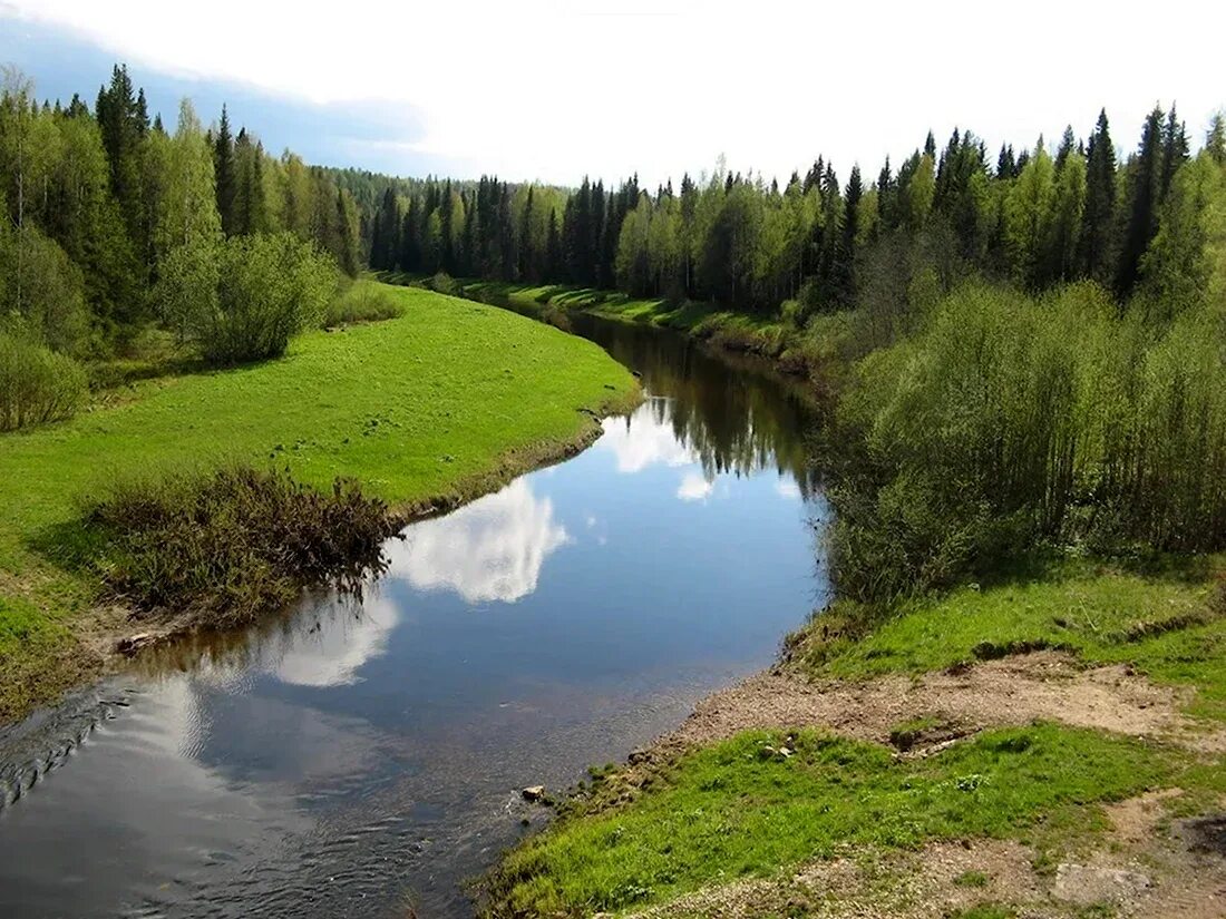 Природа коми фото Нижняя республика коми