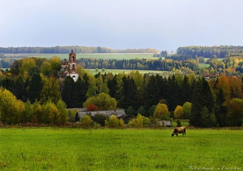 Природа костромской области фото Побережье Галичского озера. Костромская область. 2023 Деревенька Моя ВКонтакте