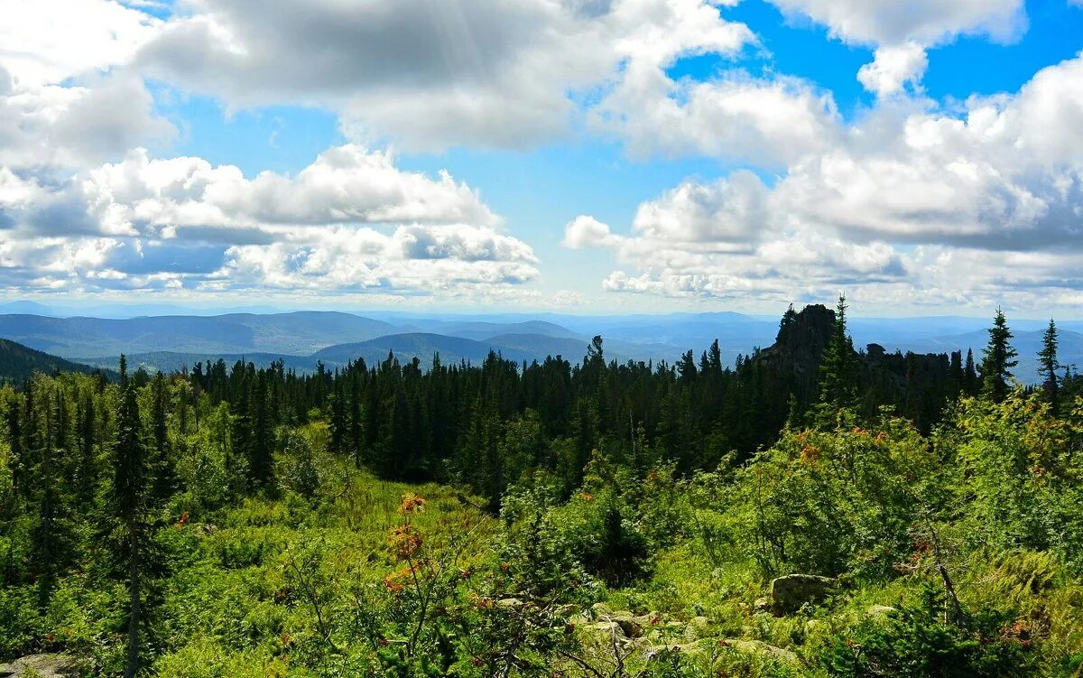 Природа кузбасса фото Природа Горной Шории :: Милешкин Владимир Алексеевич - Социальная сеть ФотоКто