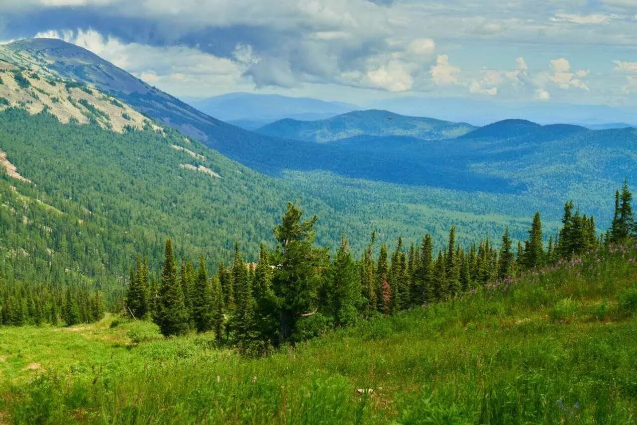 Природа кузбасса фото Летний туристический поток в Кузбассе в сравнении с прошлым годом вырос на 11,5%