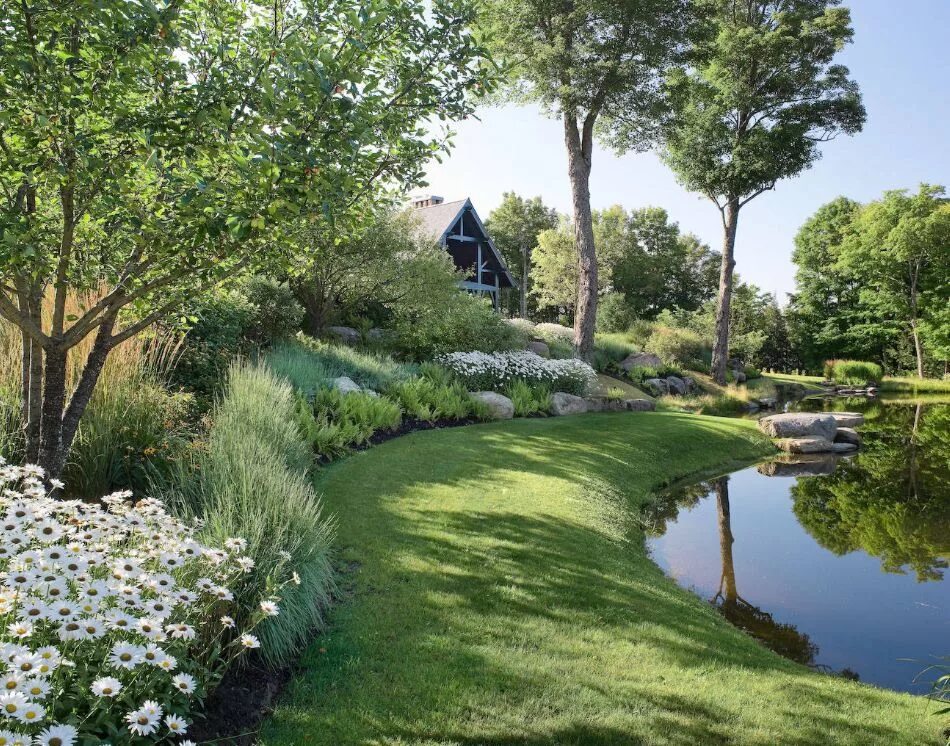 Природа ландшафтный дизайн Pinterest Pond landscaping, Landscape design, Traditional landscape