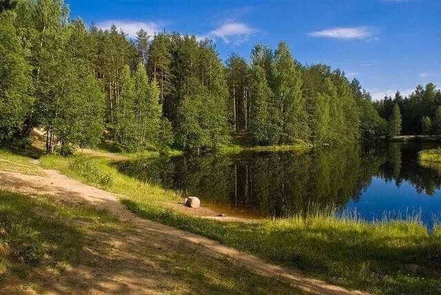 Природа ленинградской области фото Туристический маршрут "Оредежская тропа" Экологическая тропа пролегает по правом