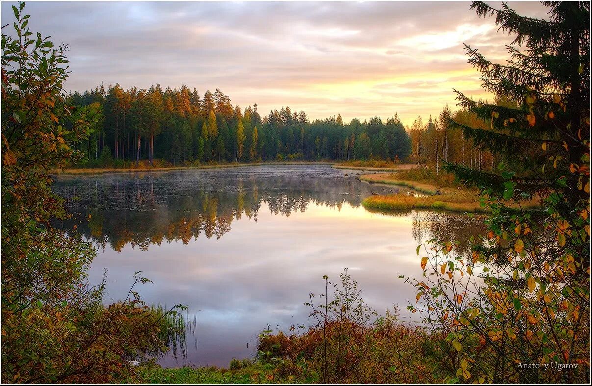 Природа ленинградской области фото Фото Утром в сентябре - фотограф Анатолий Угаров - пейзаж - ФотоФорум.ру