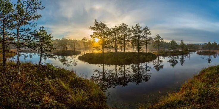 Природа ленинградской области фото Fedor Lashkov - Photography Landscape photography, Landscape photos, Landscape