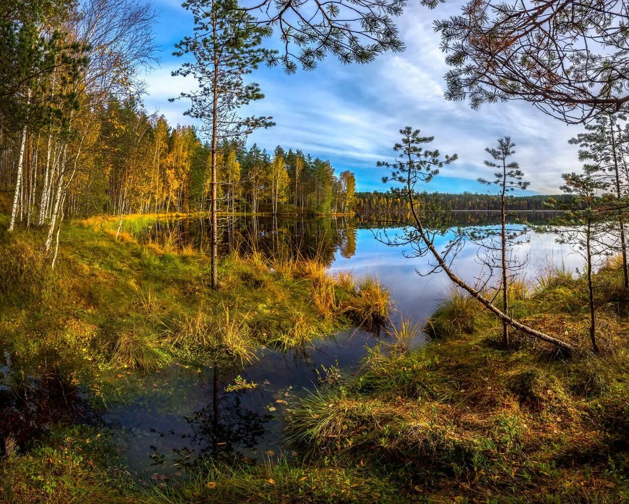 Природа ленинградской области фото Ленинградская область - Палата депутатов партии Справедливая Россия - За правду