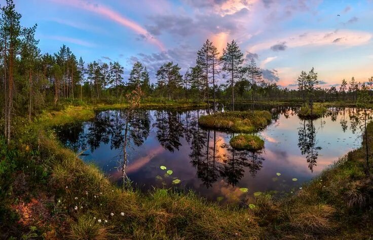 Природа ленинградской области фото Завораживающие пейзажи Фёдора Лашкова " FotoRelax Пейзажи, Пейзажная фотография,