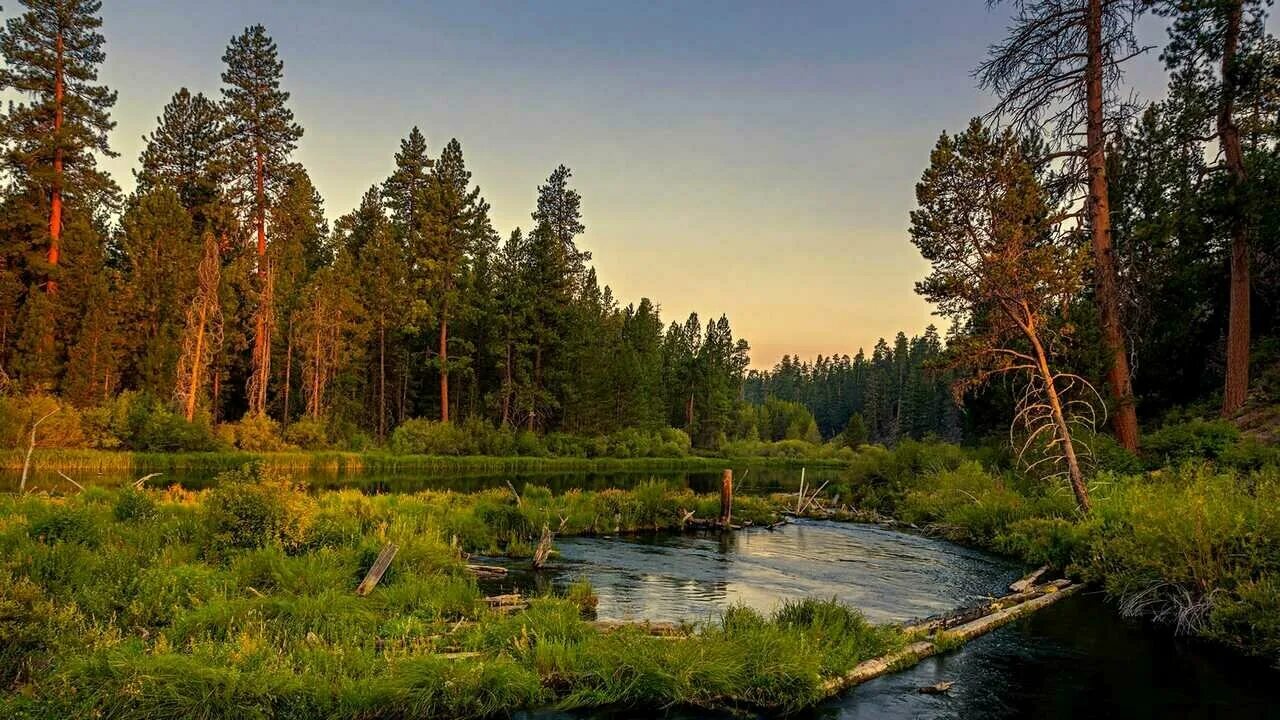 Природа лес река фото Картина на холсте 60x110 Альянс Лес "Вечер река лес" на подрамнике / интерьер/ д