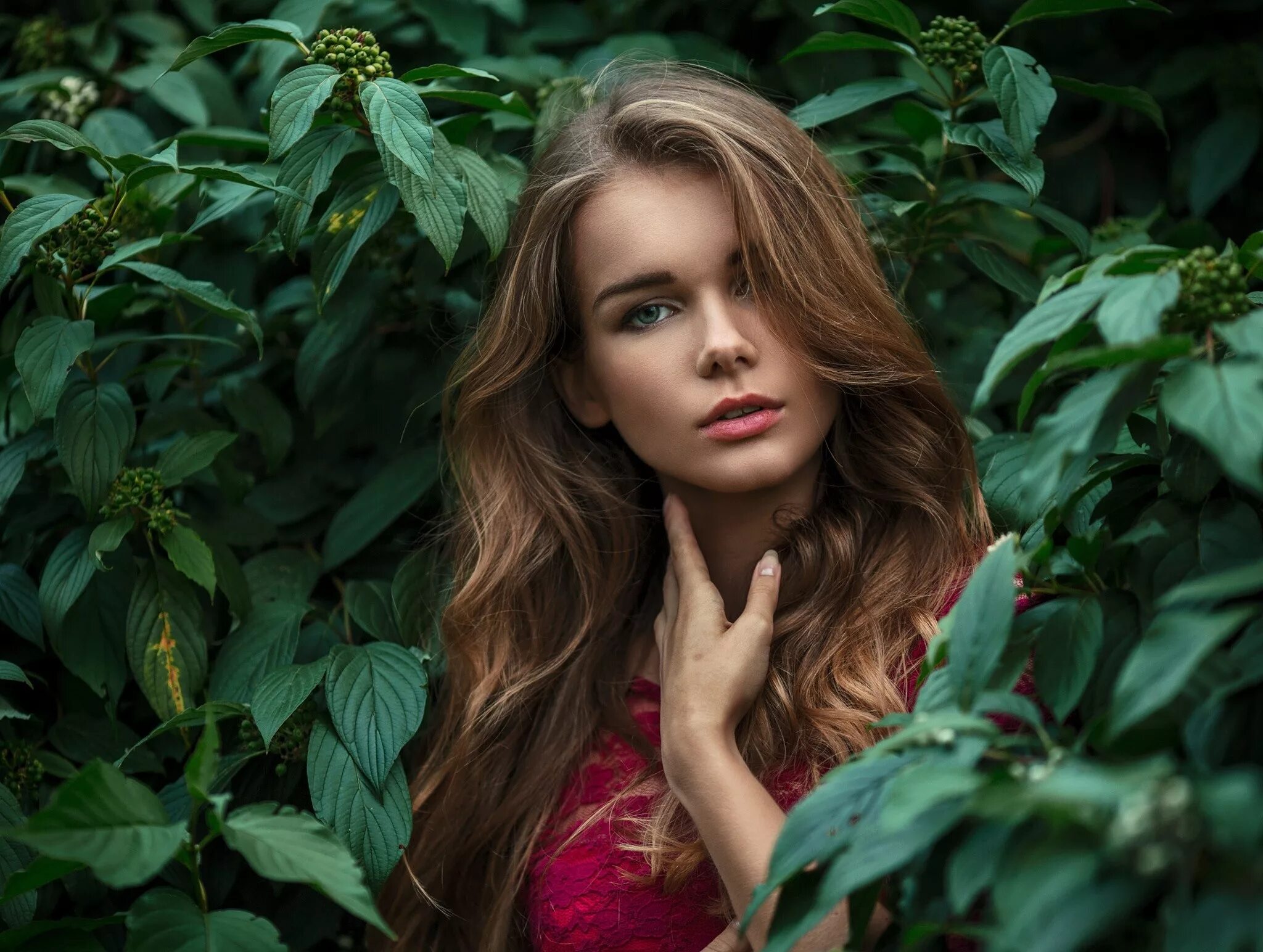 Природа лицо девушки фото Wallpaper : forest, leaves, women, model, blonde, long hair, plants, dress, gree