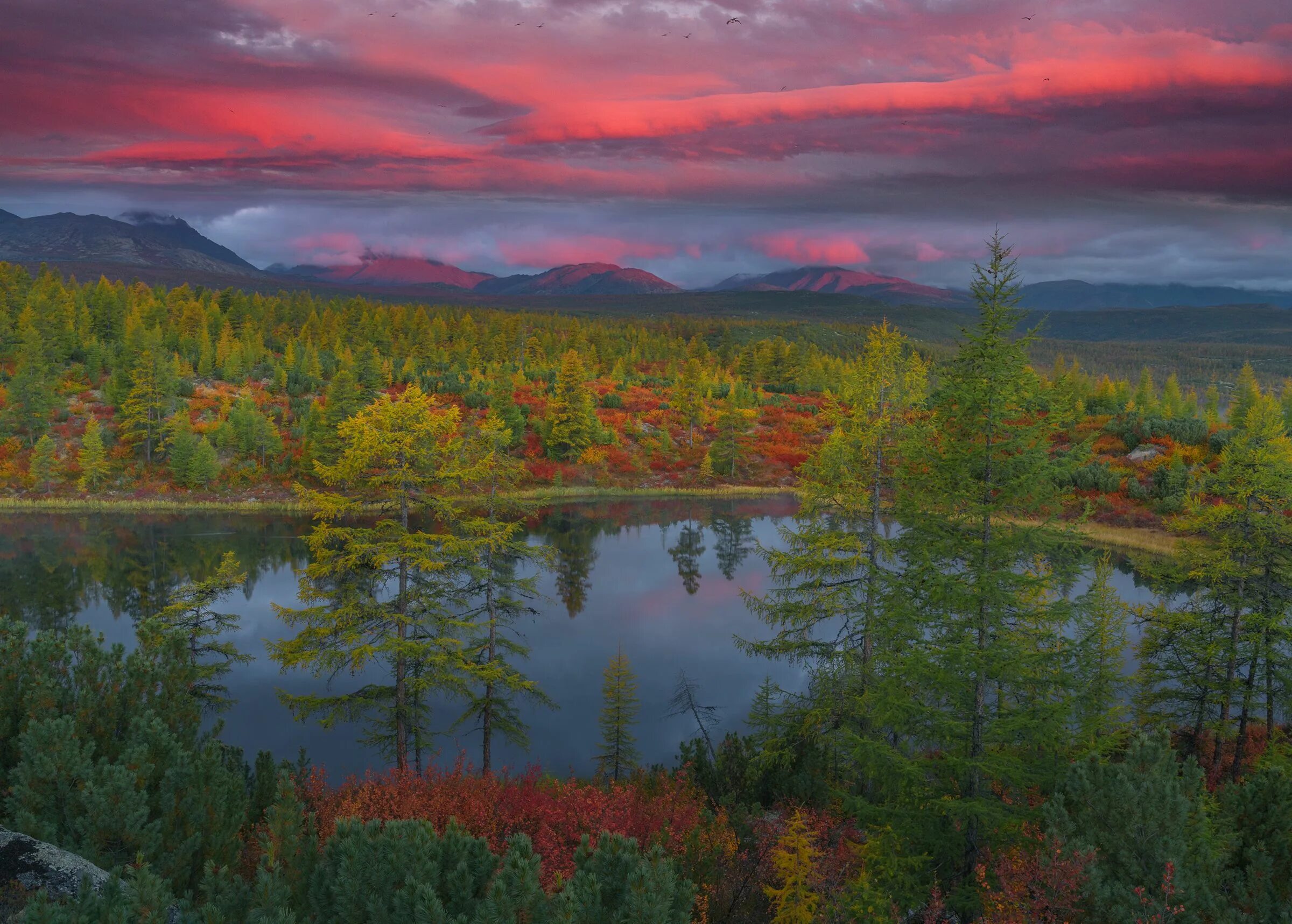 Природа магаданской области фото Проплывая над Колымой.. Photographer Vladimir Ryabkov Пейзажи, Идеи озеленения, 