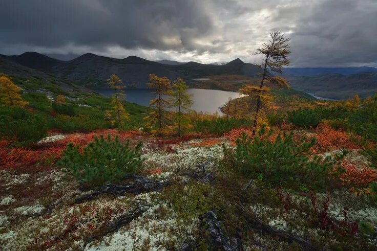 Природа магаданской области фото Магаданская область. London lake, Natural landmarks, Nature travel