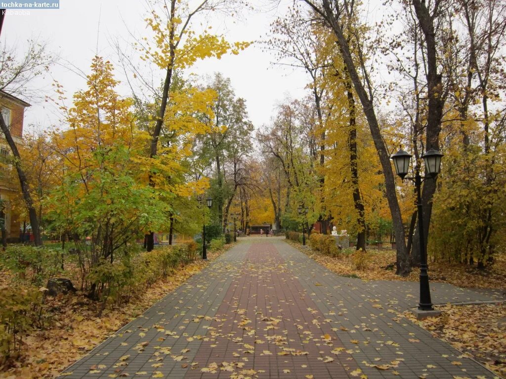 Природа мичуринска фото Мичуринск - Города и веси Тамбовской области - Блоги