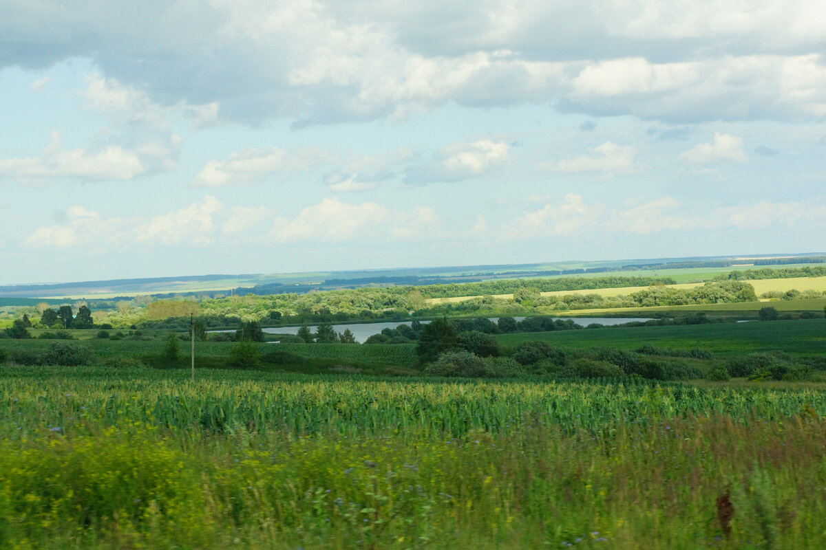 Природа мордовии фото Красота природы МОРДОВИИ. Дорога из Нижнего Новгорода в Саранск как отдельная до