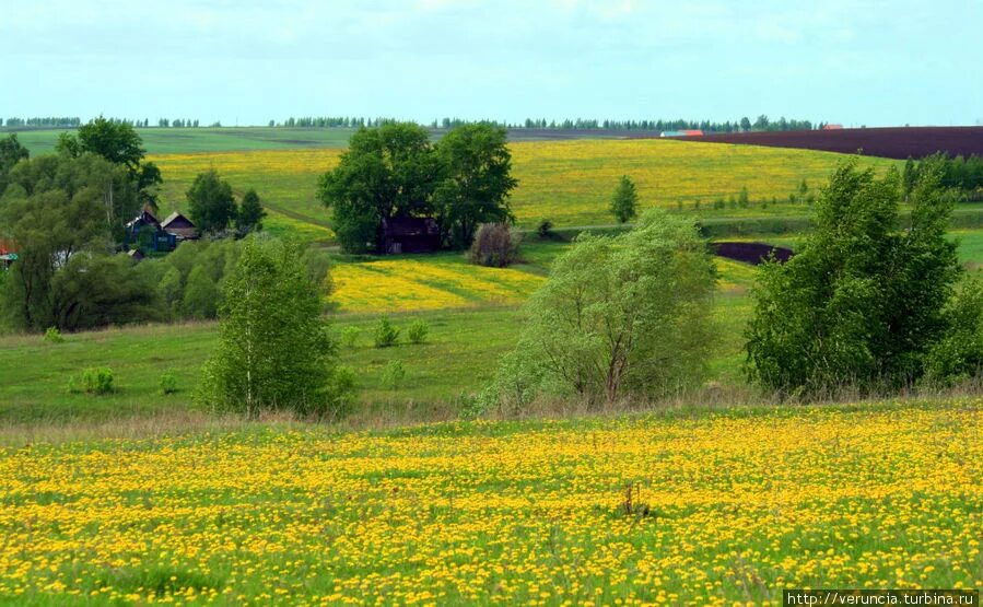 Природа мордовии фото В краю молодых ветров и цветущих садов (Мордовия, Россия)