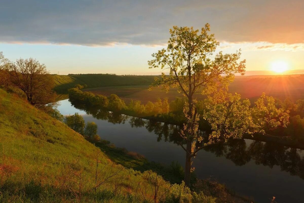 Природа нашего края калуга фото Фотоконкурс Природа в объективе 2020, Тепло-Огаревский район - дата и место пров