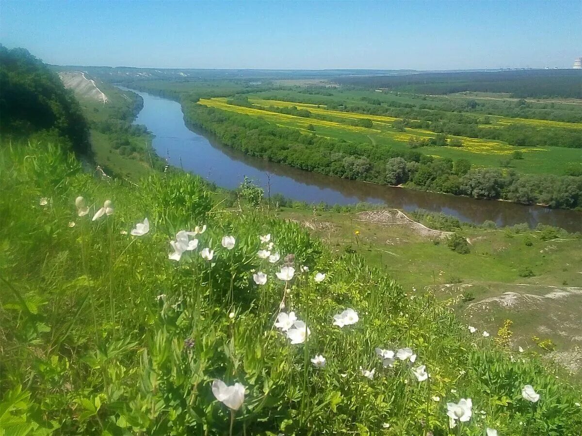 Природа нашего края калуга фото Вдоль весеннего Дона... (Станислав Климов) / Стихи.ру