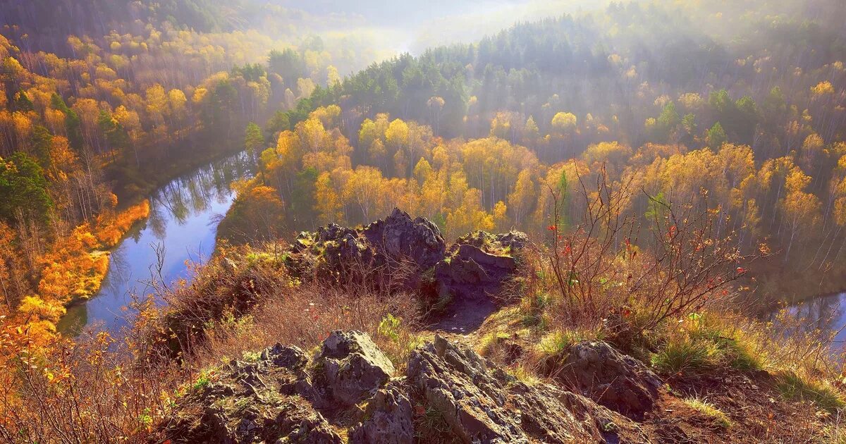 Природа новосибирска фото Что посмотреть в Новосибирске за 1 день, куда съездить из Новосибирска недалеко 