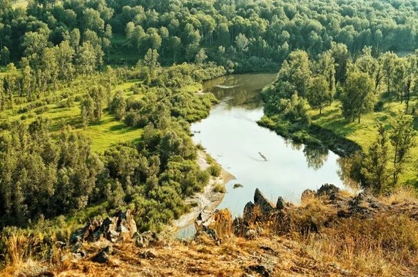 Природа новосибирской области фото Река Бердь Река Бердь берет свое начало на склонах Салаирского кряжа, на высоте 