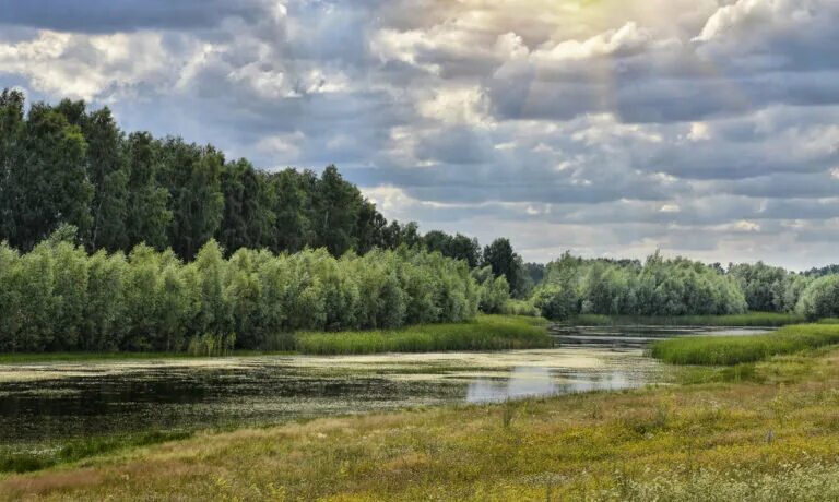 Природа новосибирской области фото Популярные санатории Новосибирской области Курортная панорама Дзен