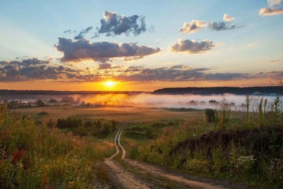 Природа область фото Путешествие из Петербурга в...". Тамбовскую область. Тамбов. Barg Uzin Дзен