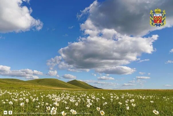 Природа оренбургской области фото Nature and the inhabitants of the Karamuruntau range. Photo by Andrei Cherkasov.