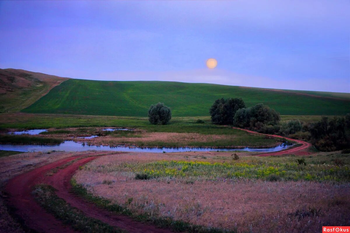 Природа оренбургской области фото Фото: Ночное. Фотограф-анималист Сергей Жданов. Пейзаж. Фотосайт Расфокус.ру