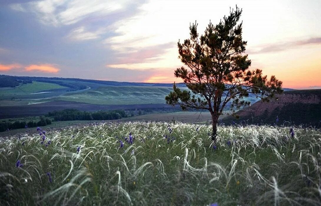 Природа оренбургской области фото Краеведческий час "Оренбуржье - край родной" 2023, Октябрьский район - дата и ме