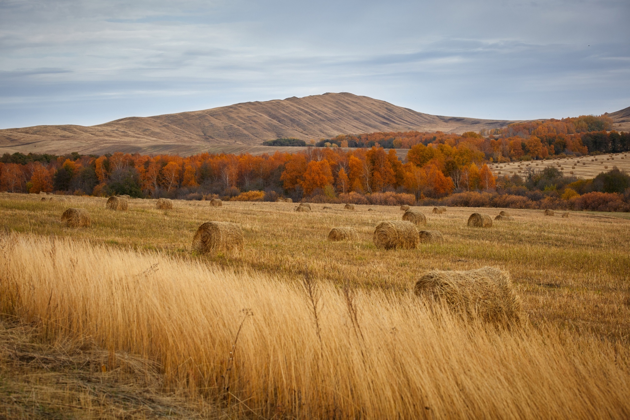 Природа оренбургской области фото Journey along the border of the Orenburg region and Bashkiria - gollum.space